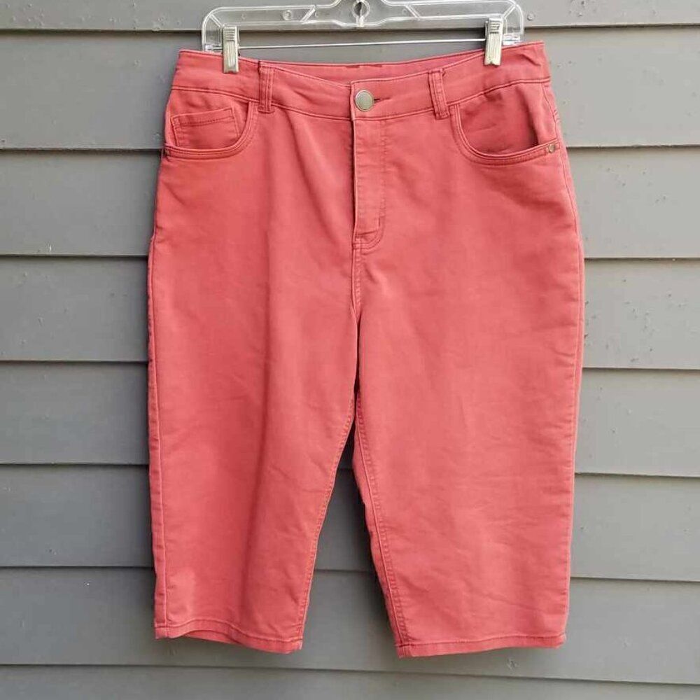 Christopher & Banks Rust Bermuda Shorts size 8
